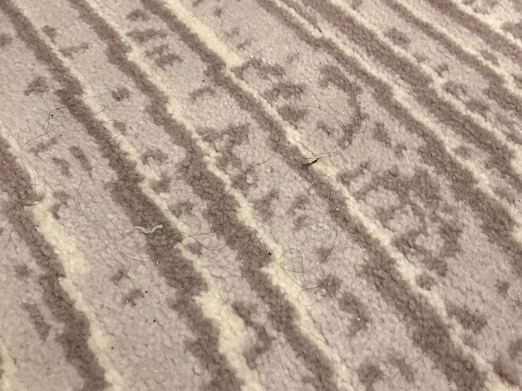 star princess carpet